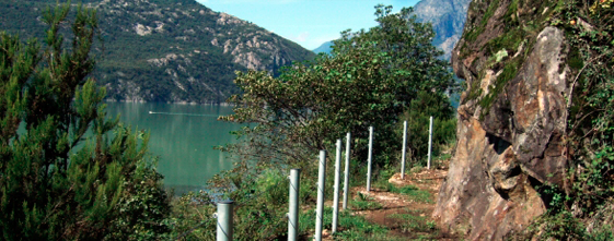 Sentiero dei Cavalli