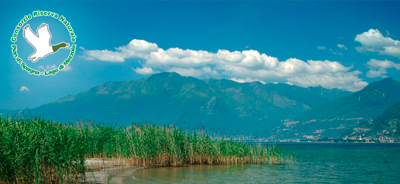 Riserva Naturale Pian di Spagna 
