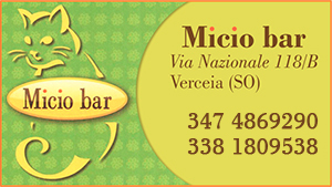 barmicio